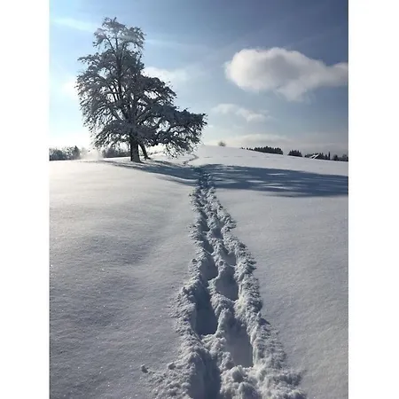 בית נופש Landgoed Vier Seizoenen Wangen im Allgäu